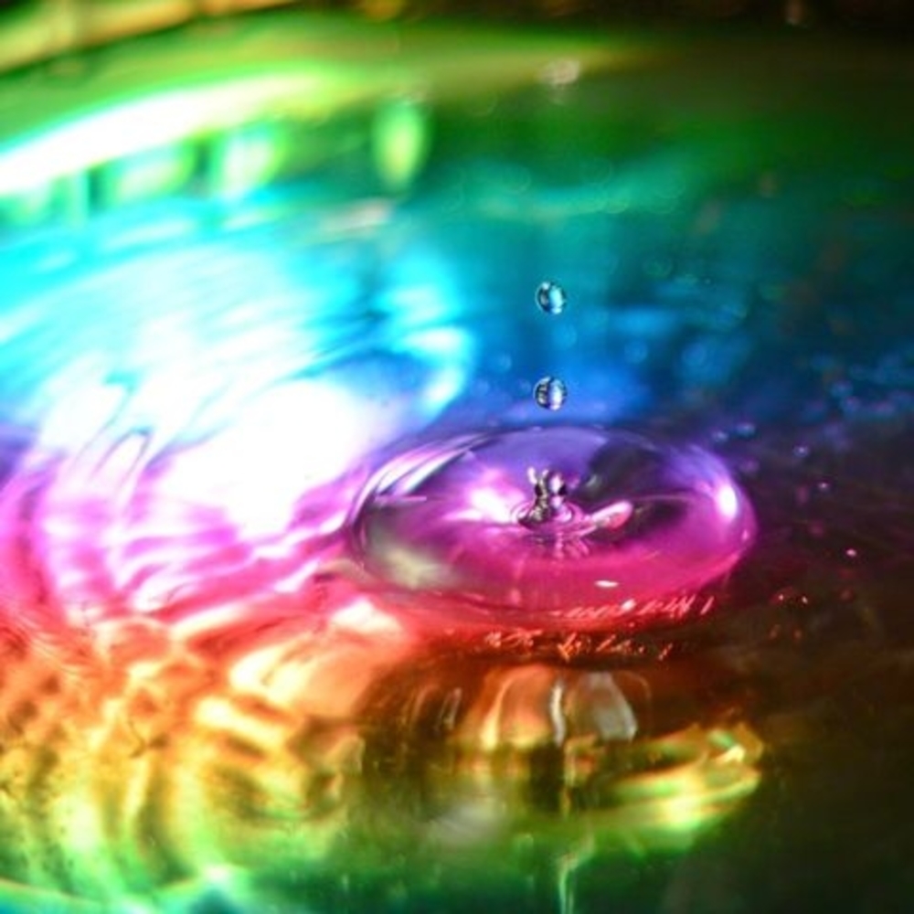 Meet your Posher, Shanísa